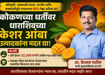 कोकणच्या धर्तीवर धाराशिवच्या केशर आंबा उत्पादक शेतकऱ्यांना तात्काळ मदत द्या –  आ. कैलास पाटील
