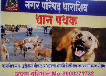 भटक्या कुत्र्यांवर नियंत्रणासाठी मोठी मोहीम सुरू; मुख्याधिकारी नीता अंधारे व नगराध्यक्ष नेहा काकडे यांचा पुढाकार