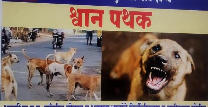 भटक्या कुत्र्यांवर नियंत्रणासाठी मोठी मोहीम सुरू; मुख्याधिकारी नीता अंधारे व नगराध्यक्ष नेहा काकडे यांचा पुढाकार