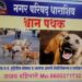 भटक्या कुत्र्यांवर नियंत्रणासाठी मोठी मोहीम सुरू; मुख्याधिकारी नीता अंधारे व नगराध्यक्ष नेहा काकडे यांचा पुढाकार
