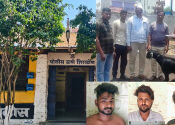 शिराढोण पोलिसांची मोठी कारवाई  ताडगाव-रांजणी शिवारात थरारक पाठलाग; बकरी चोरी प्रकरणी तीन आरोपींसह मुद्देमाल जप्त