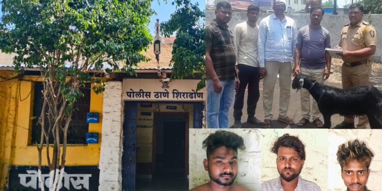 शिराढोण पोलिसांची मोठी कारवाई ताडगाव-रांजणी शिवारात थरारक पाठलाग; बकरी चोरी प्रकरणी तीन आरोपींसह मुद्देमाल जप्त