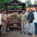 हायवेवरील चालत्या ट्रकमधून चोरलेल्या मेंढ्या २४ तासांत जप्त स्थानिक गुन्हे शाखेची धडाकेबाज कारवाई