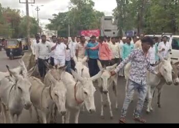 ३३ के.व्ही. सबस्टेशनच्या मागणीसाठी विद्युत वितरण कार्यालयावर गाढव मोर्चा