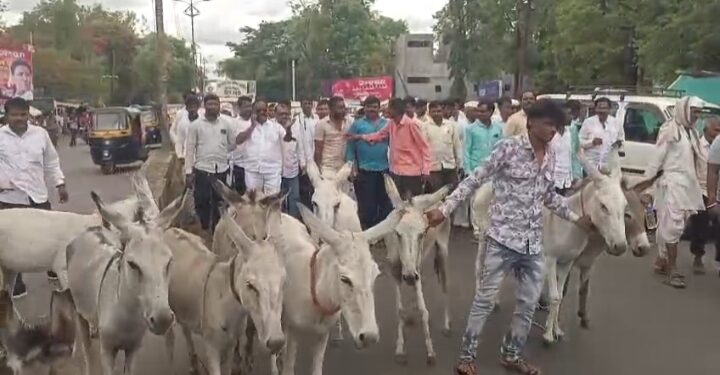 ३३ के.व्ही. सबस्टेशनच्या मागणीसाठी विद्युत वितरण कार्यालयावर गाढव मोर्चा