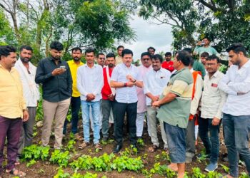 गोगलगाईच्या प्रादुर्भावाने सोयाबीन धोक्यात आ. कैलास पाटील यांचा कृषिमंत्र्यांना थेट फोन, तातडीच्या पंचनाम्यांचे आदेश