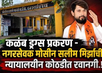 मोसीन सलीम मिर्झाची न्यायालयीन कोठडीत रवानगी;