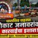धाराशिव शहरात मोकाट जनावरांवर कारवाईचा इशारा!